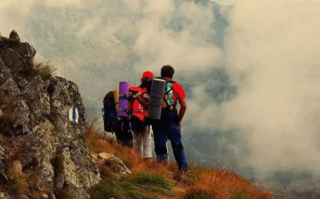 登山活动中发生意外，组织者和同行驴友是否应承担法律责任？