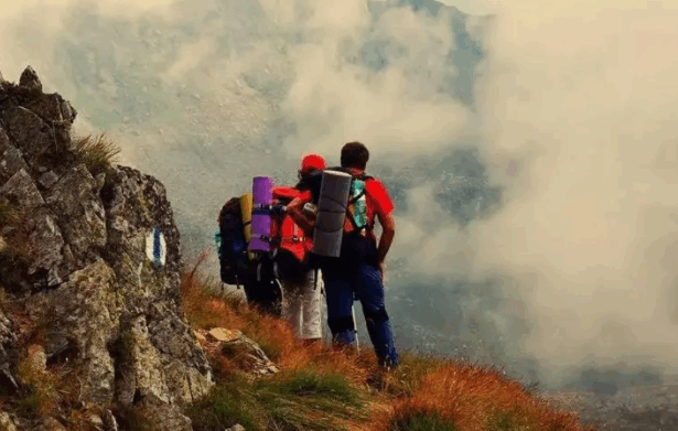 登山活动中发生意外，组织者和同行驴友是否应承担法律责任？-第1张图片